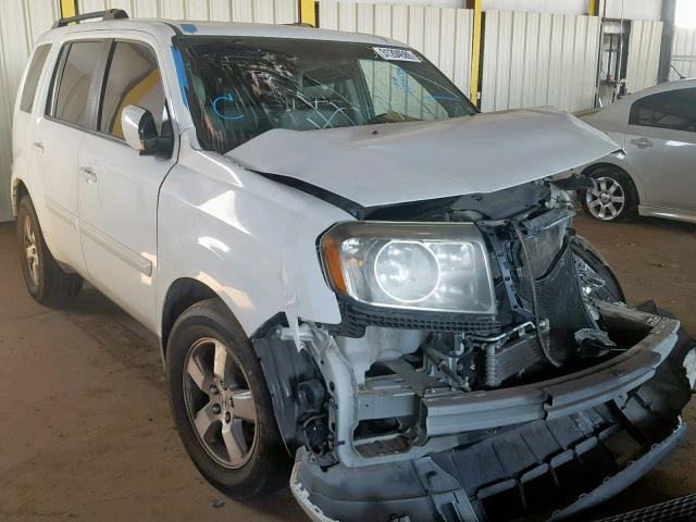 5FNYF3H55BB025399 - 2011 HONDA PILOT EXL WHITE photo 1