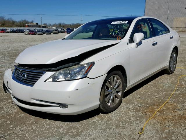 JTHBJ46G682179614 - 2008 LEXUS ES 350 WHITE photo 2