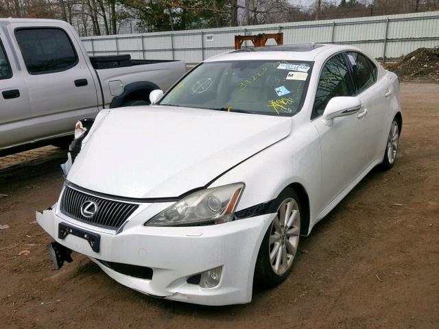 JTHCF5C22A5038306 - 2010 LEXUS IS 250 WHITE photo 2