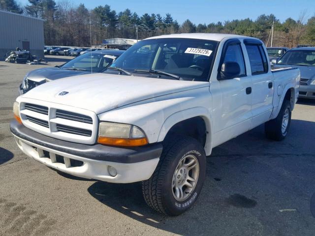 1B7HG38N02S551763 - 2002 DODGE DAKOTA QUA WHITE photo 2