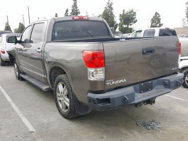 5TFHY5F12AX121646 - 2010 TOYOTA TUNDRA CRE BROWN photo 3