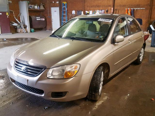 KNAFE122685491217 - 2008 KIA SPECTRA EX BEIGE photo 2