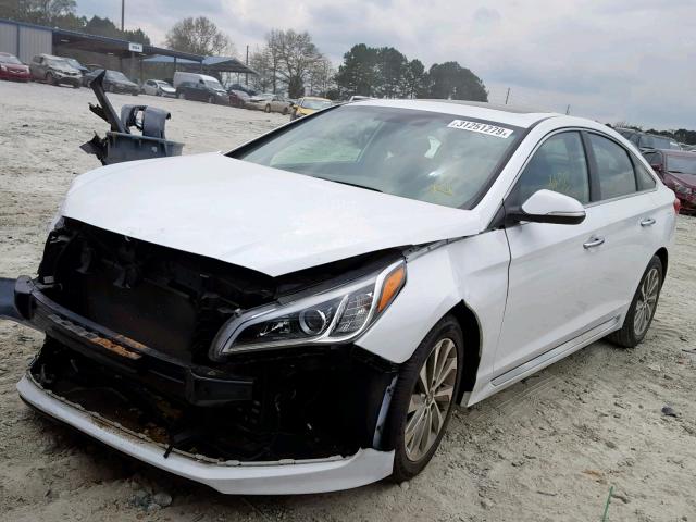 5NPE34AF1GH391373 - 2016 HYUNDAI SONATA SPO WHITE photo 2