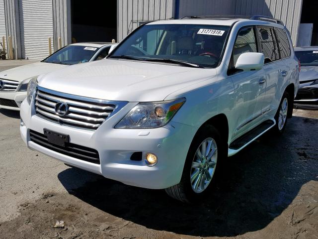 JTJHY00W394020584 - 2009 LEXUS LX 570 WHITE photo 2