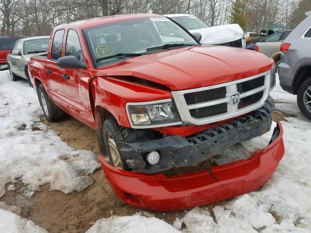 1D7RW3GK3BS559523 - 2011 DODGE DAKOTA SLT RED photo 1