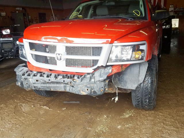 1D7RW3GK3BS559523 - 2011 DODGE DAKOTA SLT RED photo 10