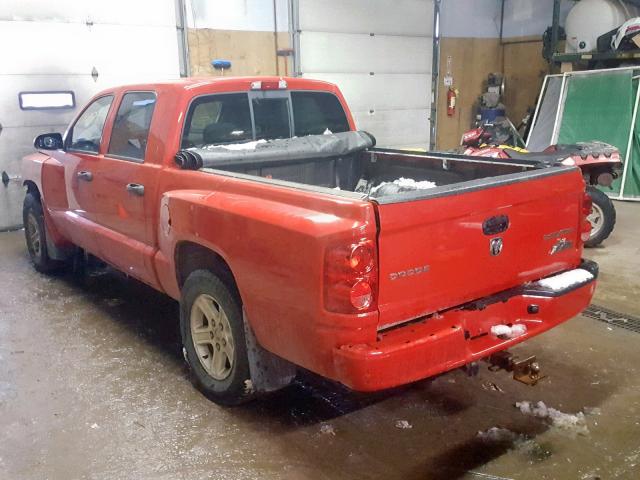 1D7RW3GK3BS559523 - 2011 DODGE DAKOTA SLT RED photo 3