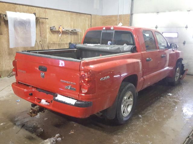 1D7RW3GK3BS559523 - 2011 DODGE DAKOTA SLT RED photo 4