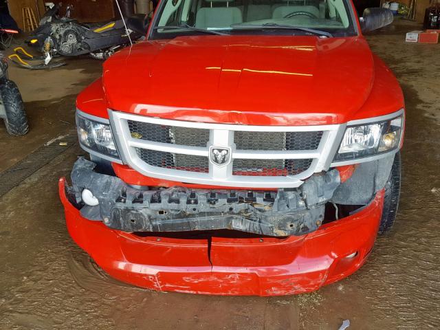 1D7RW3GK3BS559523 - 2011 DODGE DAKOTA SLT RED photo 7