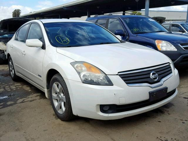 1N4CL21E99C153391 - 2009 NISSAN ALTIMA HYB WHITE photo 1