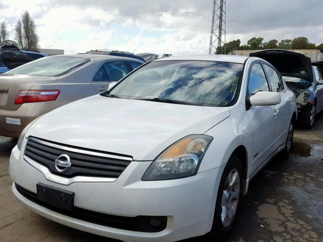 1N4CL21E99C153391 - 2009 NISSAN ALTIMA HYB WHITE photo 2