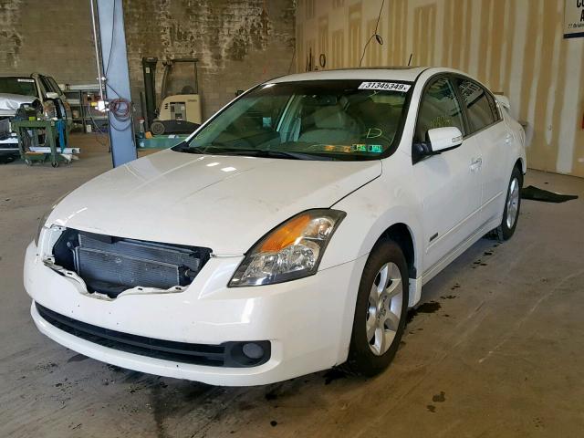 1N4CL21E29C186815 - 2009 NISSAN ALTIMA HYB WHITE photo 2