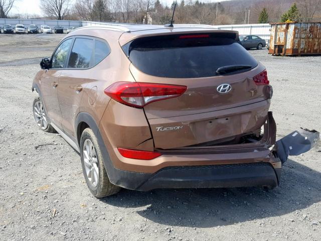 KM8J3CA48HU402900 - 2017 HYUNDAI TUCSON LIM BROWN photo 3