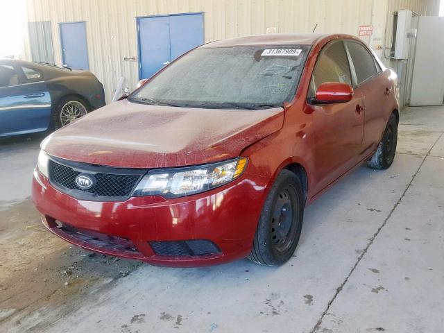 KNAFU4A24B5413788 - 2011 KIA FORTE EX RED photo 2