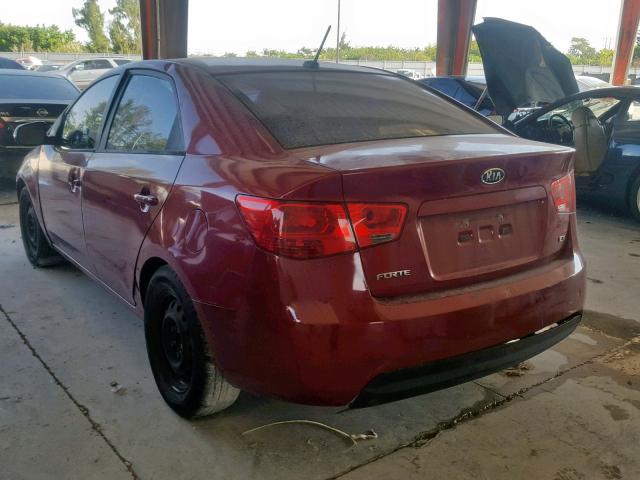 KNAFU4A24B5413788 - 2011 KIA FORTE EX RED photo 3