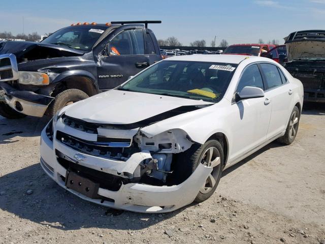 1G1ZC5E13BF271964 - 2011 CHEVROLET MALIBU 1LT 白色 照片 2