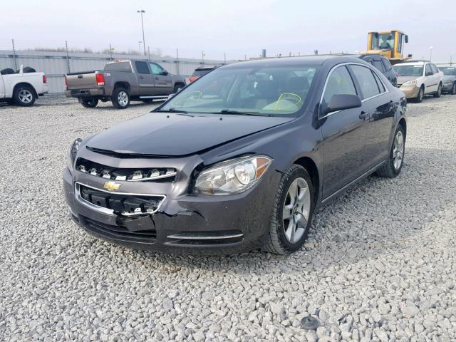 1G1ZC5E02AF274232 - 2010 CHEVROLET MALIBU 1LT გრაფიტი ფოტო 2