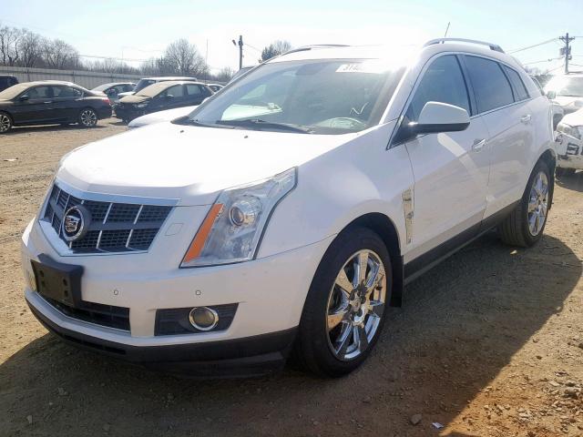 3GYFNKE62BS528522 - 2011 CADILLAC SRX PREMIU WHITE photo 2