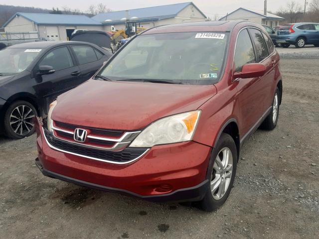 JHLRE4H71BC022269 - 2011 HONDA CR-V EXL MAROON photo 2