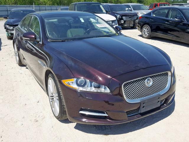 SAJWA1CB9BLV08920 - 2011 JAGUAR XJ BASE MAROON photo 1