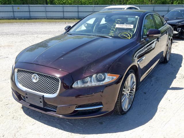 SAJWA1CB9BLV08920 - 2011 JAGUAR XJ BASE MAROON photo 2