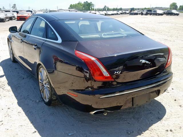 SAJWA1CB9BLV08920 - 2011 JAGUAR XJ BASE MAROON photo 3