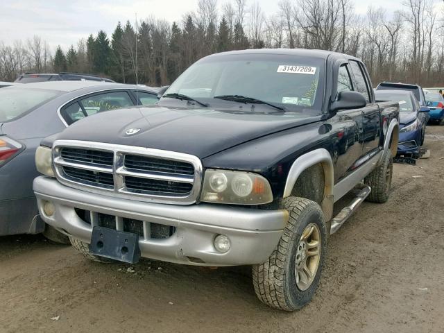 1D7HG48NX4S752259 - 2004 DODGE DAKOTA QUA BLACK photo 2