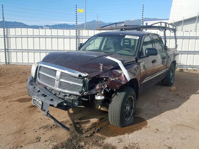 1D7HW48N45S297722 - 2005 DODGE DAKOTA QUA BROWN photo 2