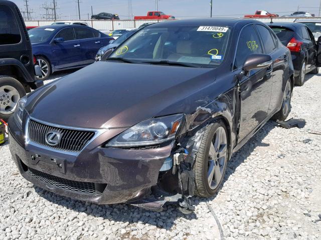 JTHBF5C2XD5187191 - 2013 LEXUS IS 250 BROWN photo 2