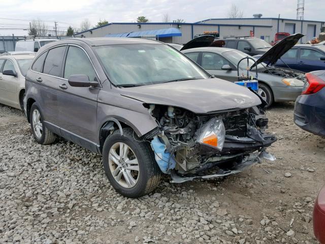 5J6RE4H74BL071392 - 2011 HONDA CR-V EXL TAN photo 1