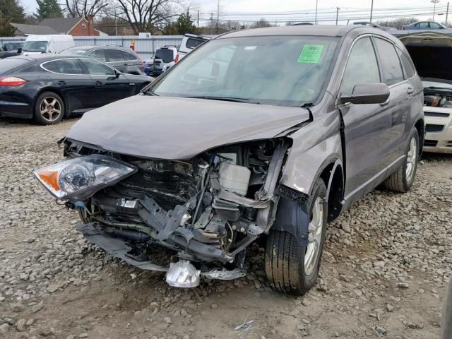 5J6RE4H74BL071392 - 2011 HONDA CR-V EXL TAN photo 2