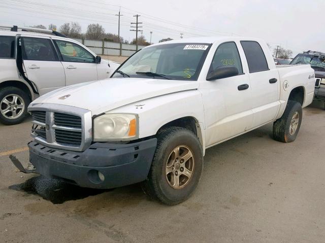 1D7HW48K85S225377 - 2005 DODGE DAKOTA QUA WHITE photo 2