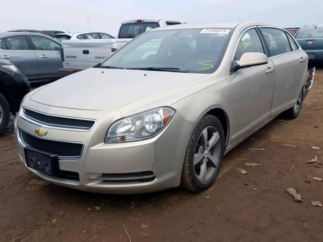 1G1ZC5E19BF261410 - 2011 CHEVROLET MALIBU 1LT 金色 照片 2