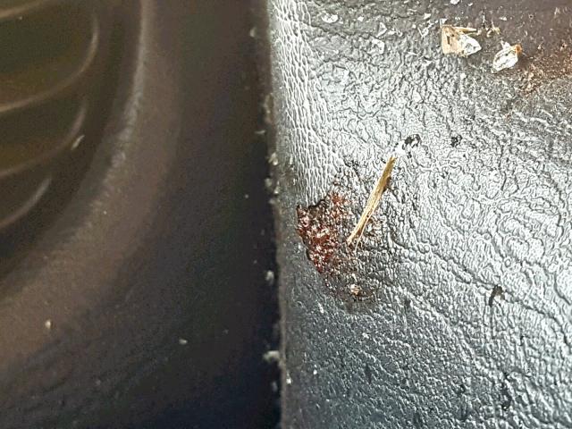 1J4GL38K14W141590 - 2004 JEEP LIBERTY RE 绿色 照片 9