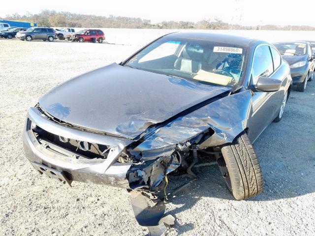 1HGCS22859A005354 - 2009 HONDA ACCORD EXL  photo 2