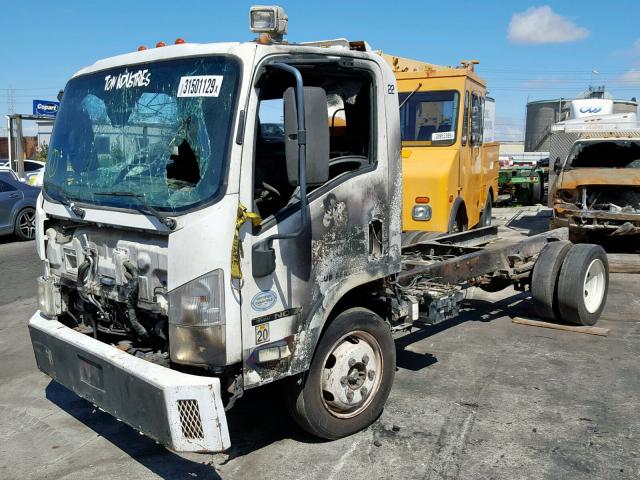 JALE5W16797900619 - 2009 ISUZU NQR WHITE photo 2