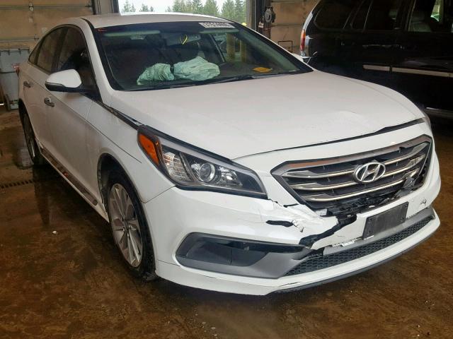 5NPE34AF6FH212758 - 2015 HYUNDAI SONATA SPO WHITE photo 1