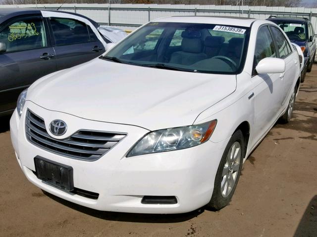 4T1BB46K78U046167 - 2008 TOYOTA CAMRY HYBR WHITE photo 2