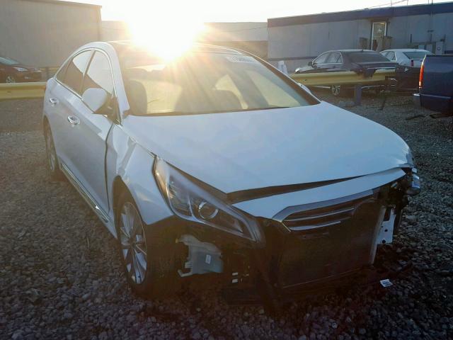 5NPE34AF7FH049022 - 2015 HYUNDAI SONATA SPO WHITE photo 1