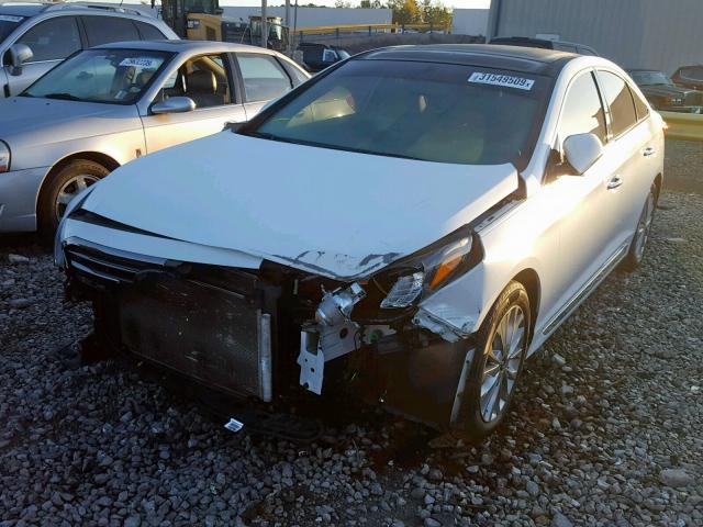 5NPE34AF7FH049022 - 2015 HYUNDAI SONATA SPO WHITE photo 2