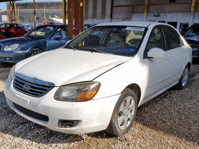 KNAFE221795662118 - 2009 KIA SPECTRA EX WHITE photo 2