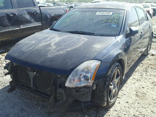 1N4BA41E15C868687 - 2005 NISSAN MAXIMA SE BLUE photo 2