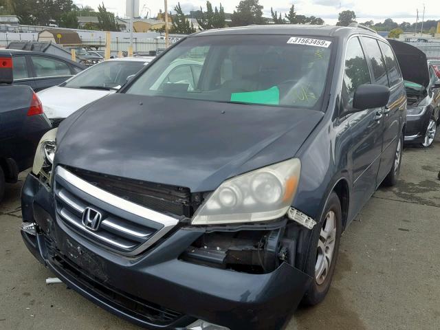 5FNRL38875B126987 - 2005 HONDA ODYSSEY TO BLUE photo 2