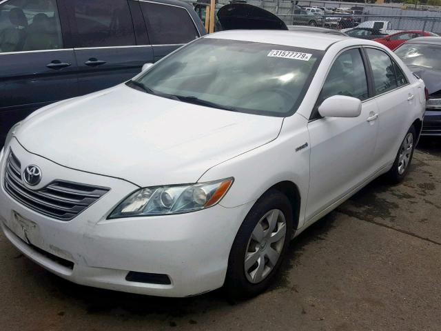 4T1BB46K78U031670 - 2008 TOYOTA CAMRY HYBR WHITE photo 2