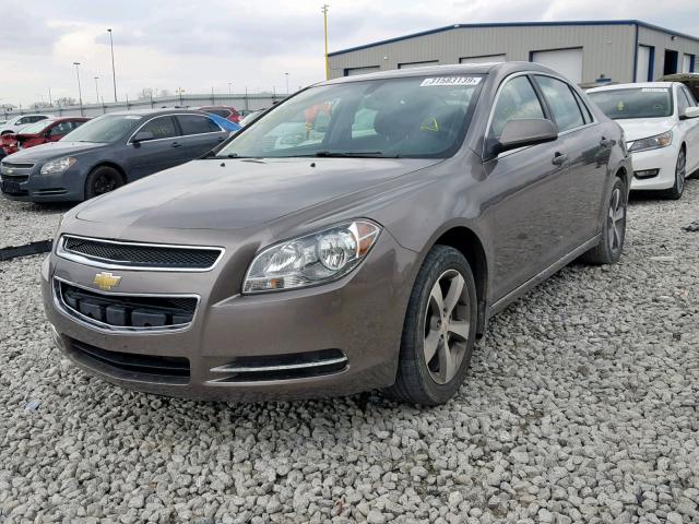1G1ZC5E13BF103144 - 2011 CHEVROLET MALIBU 1LT 棕色 照片 2
