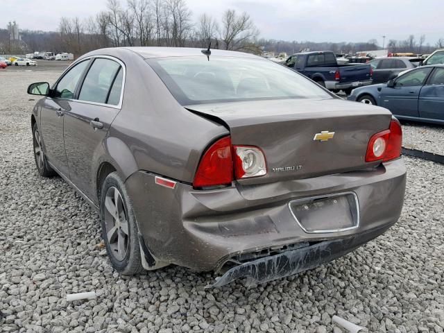 1G1ZC5E13BF103144 - 2011 CHEVROLET MALIBU 1LT 棕色 照片 3