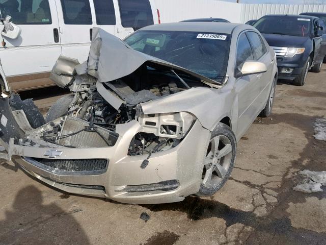 1G1ZC5EU8BF395450 - 2011 CHEVROLET MALIBU 1LT 金色 照片 2
