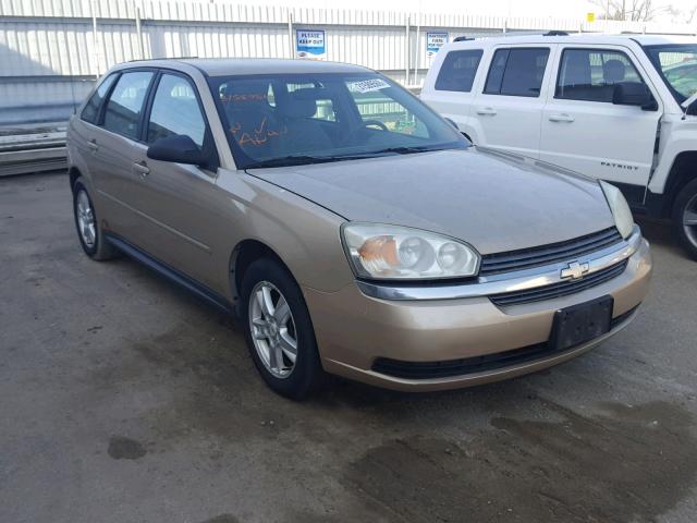 1G1ZT62855F291600 - 2005 CHEVROLET MALIBU MAX თაფლისფერი ფოტო 1