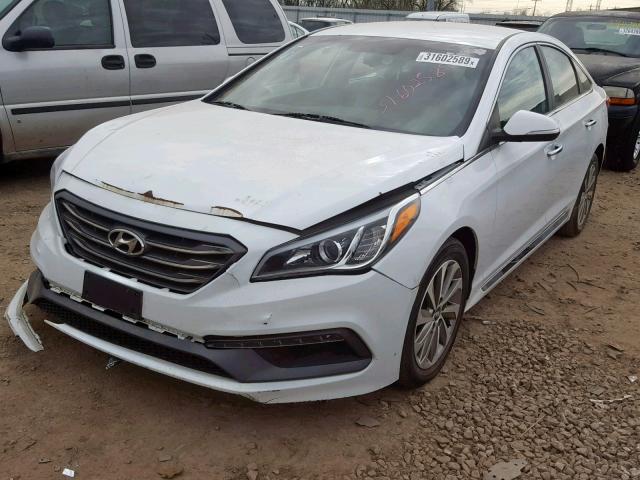 5NPE34AF4FH075965 - 2015 HYUNDAI SONATA SPO WHITE photo 2