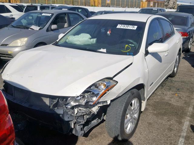 1N4CL2AP9AC116427 - 2010 NISSAN ALTIMA HYB WHITE photo 2